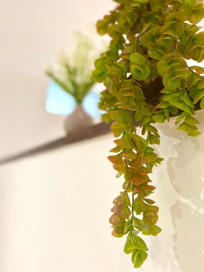M'S Residences Muzio ترييستي المظهر الخارجي الصورة
